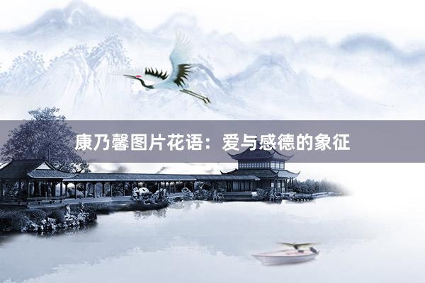 康乃馨图片花语：爱与感德的象征