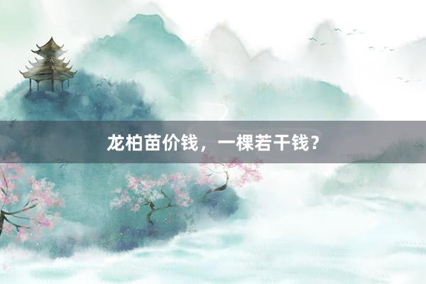 龙柏苗价钱，一棵若干钱？
