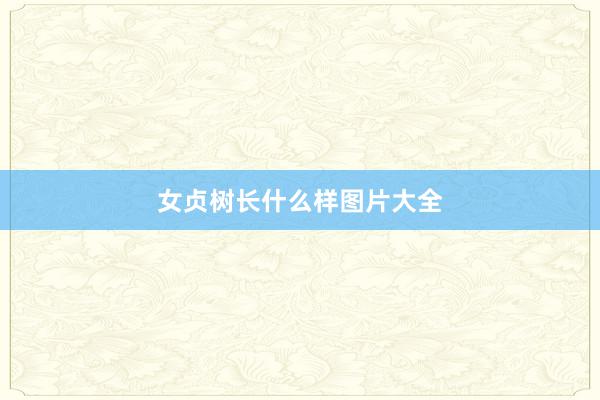 女贞树长什么样图片大全