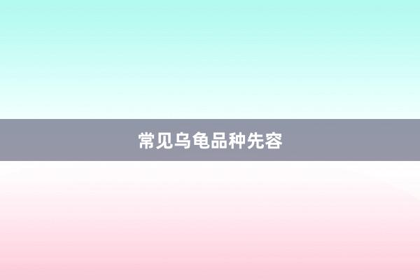 常见乌龟品种先容