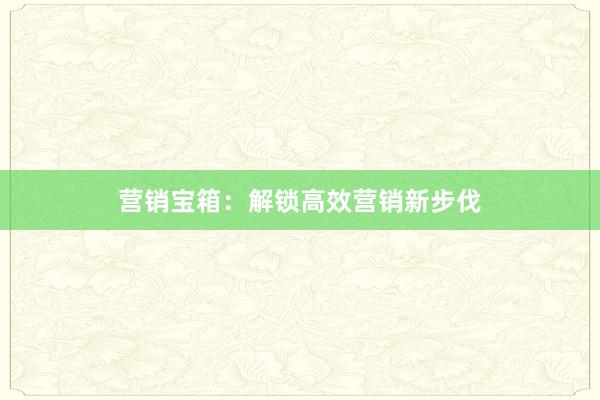 营销宝箱：解锁高效营销新步伐